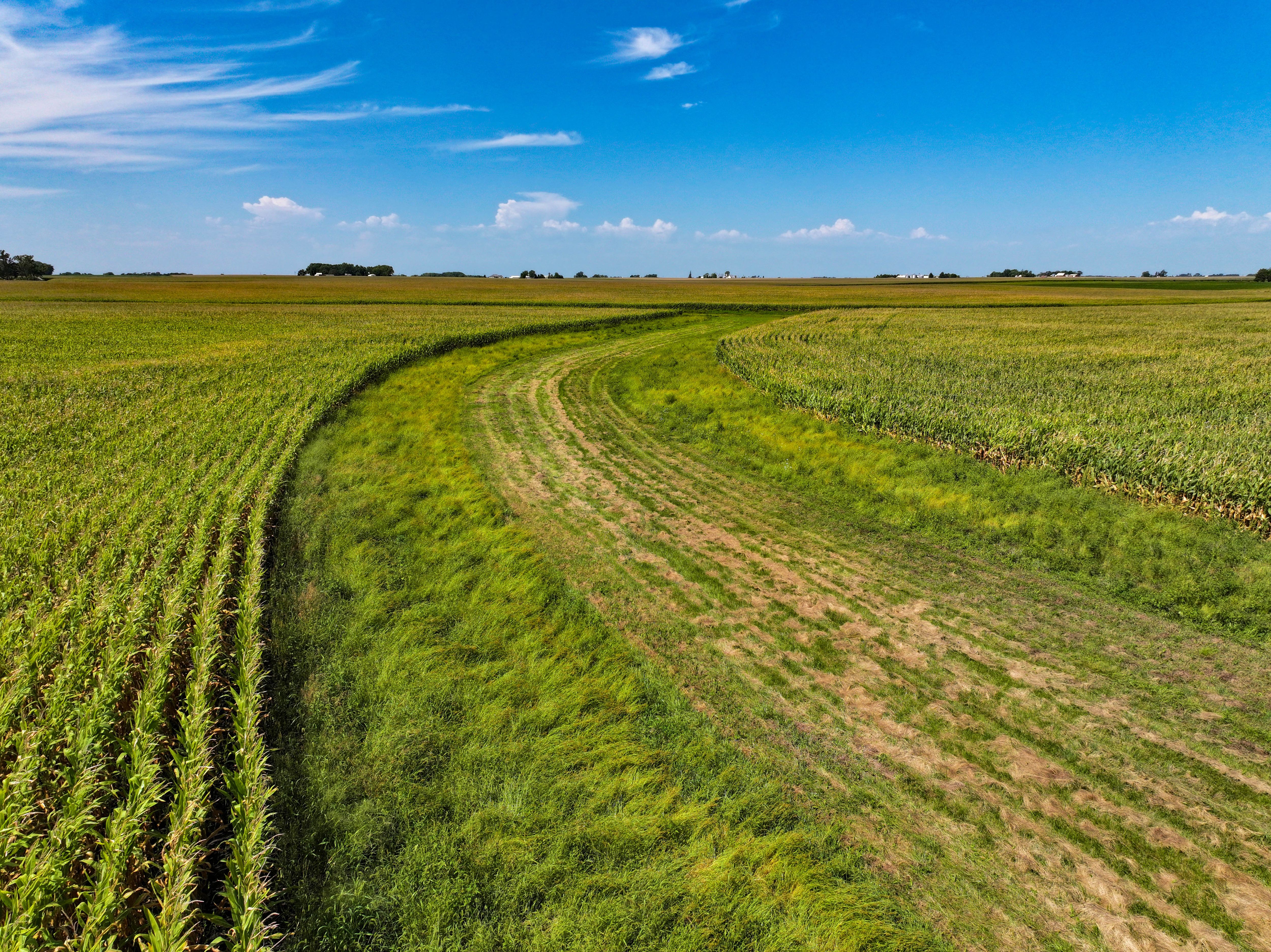 Listing Photo: 13_Black Hawk Co IA Farmland For Sale
